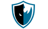 Level UP esports